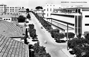 Orleansville - Avenue Carnot et College